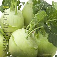 Tháng 10 trồng cây gì